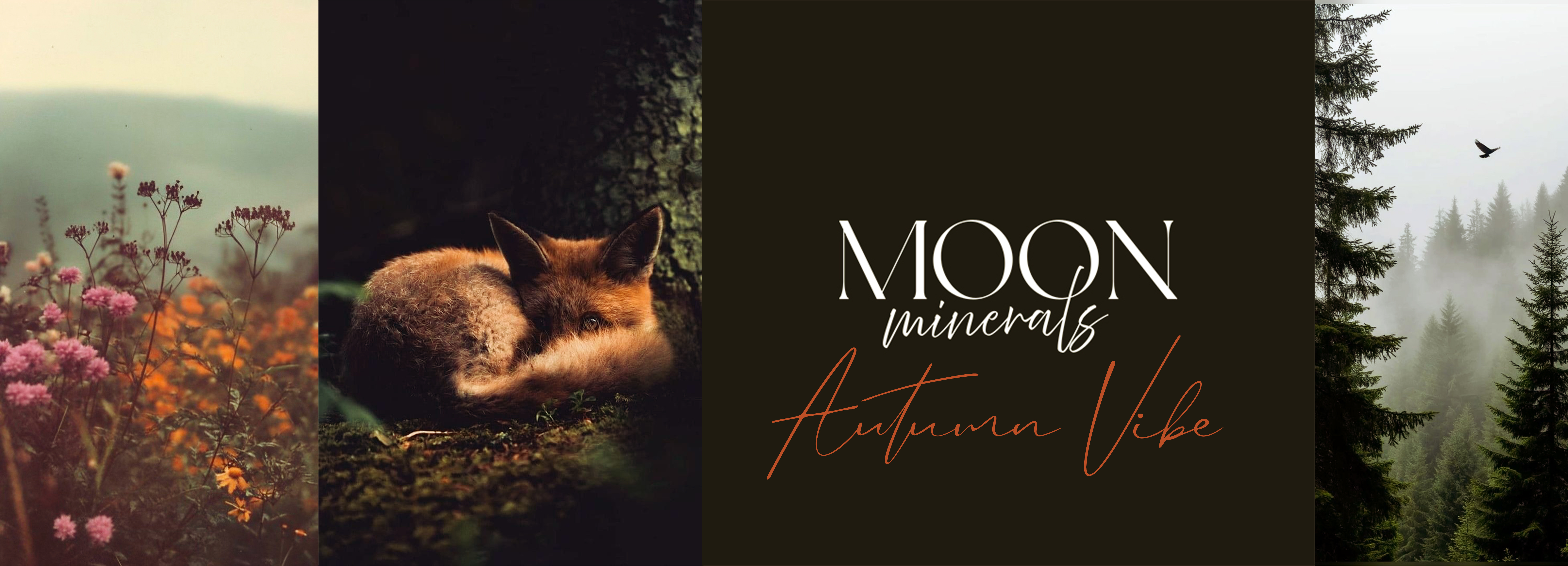 Autumn vibe-Moon minerals.JPG (4.02 MB)